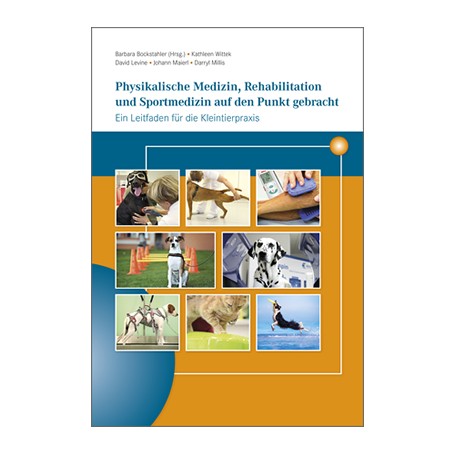 Physikalische Medizin, Rehabilitation und Sportmedizin auf den Punkt gebracht