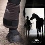 Calinobio Application on horse leg