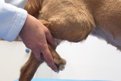 CCRP Exam - practical part