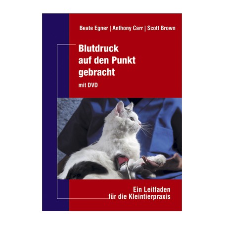 Blutdruck auf den Punkt gebracht mit DVD