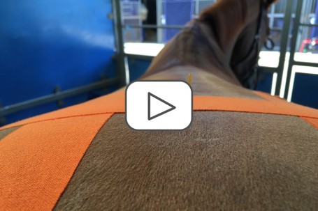 RockTape Equine Taping (ONLINE Module)